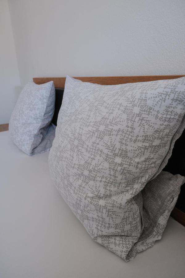Attwengerhof Apartment Traunkirchen Ngoại thất bức ảnh